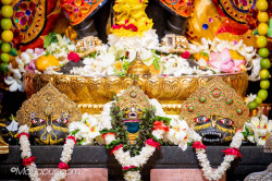 Daily Darshan