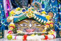 Daily Darshan