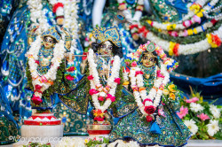 Daily Darshan