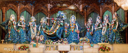 Daily Darshan