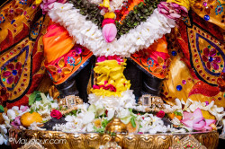 Daily Darshan