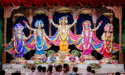 Daily Darshan