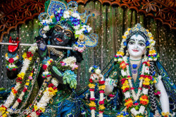 Daily Darshan
