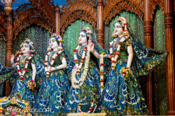Daily Darshan