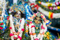 Daily Darshan