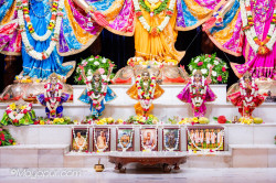 Daily Darshan