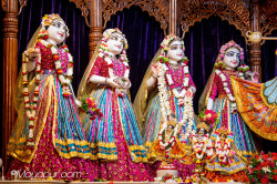 Daily Darshan