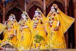 Daily Darshan