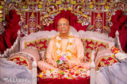 Daily Darshan