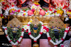 Daily Darshan