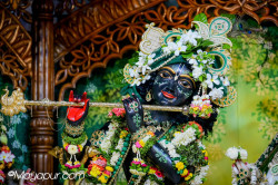 Daily Darshan