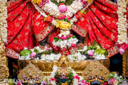 Daily Darshan