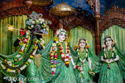 Daily Darshan