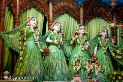 Daily Darshan