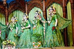 Daily Darshan