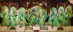 Daily Darshan