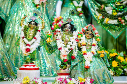 Daily Darshan