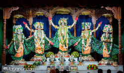 Daily Darshan