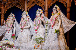 Daily Darshan
