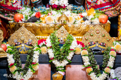 Daily Darshan