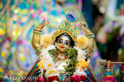 Daily Darshan