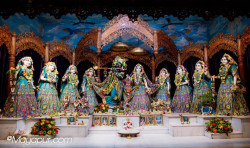 Daily Darshan