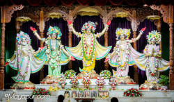 Daily Darshan