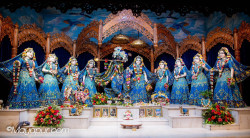 Daily Darshan