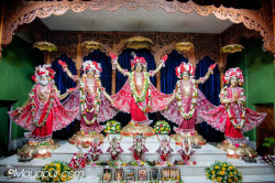 Daily Darshan