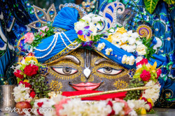 Daily Darshan