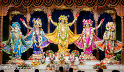 Daily Darshan
