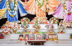 Daily Darshan