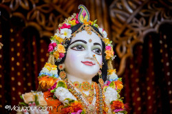 Daily Darshan