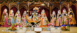 Daily Darshan