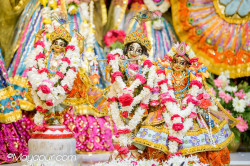 Daily Darshan