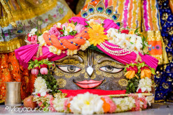 Daily Darshan