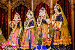 Daily Darshan