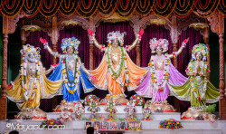 Daily Darshan