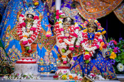 Daily Darshan