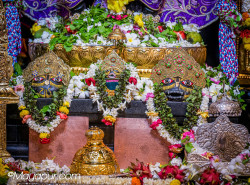 Daily Darshan