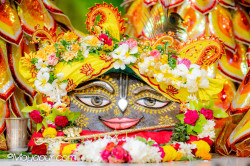 Daily Darshan
