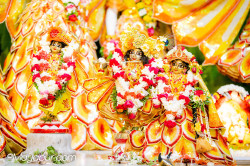 Daily Darshan