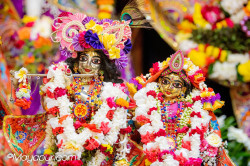 Daily Darshan