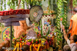 Daily Darshan