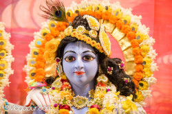 Daily Darshan