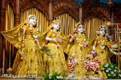 Daily Darshan