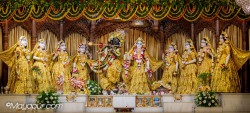 Daily Darshan