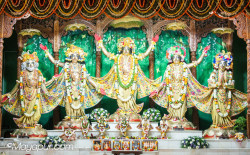 Daily Darshan