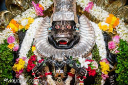 Daily Darshan