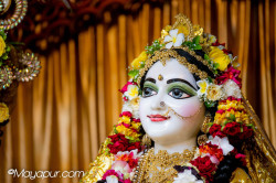 Daily Darshan